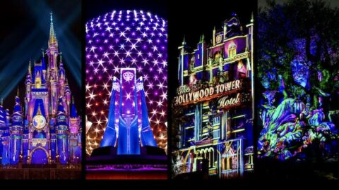 Did Disney World forget to list these two nighttime shows?