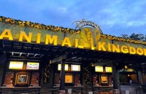Full Guide for all the Festive Offerings at Disney's Animal Kingdom