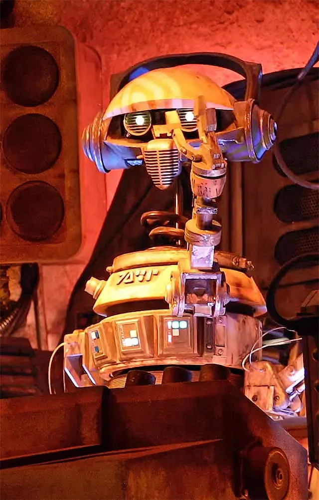 Check out why Oga's Cantina is a Guest Favorite