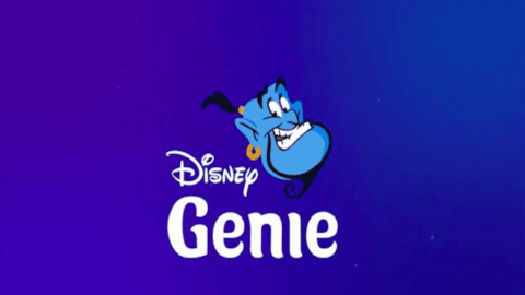 POLLS: What Do YOU Think About Genie and Lightning Lane?