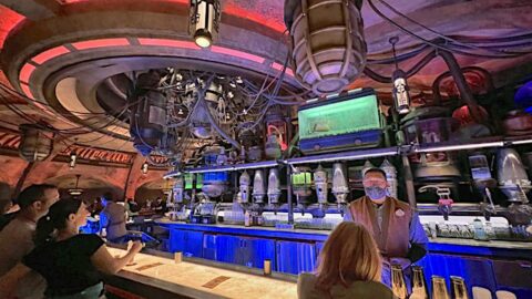 Review: See why Oga’s Cantina is a Guest Favorite