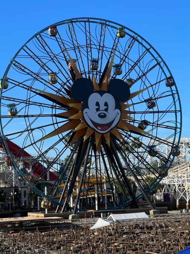 Mickey Mouse Waffle Mug Comes to Disney California Adventure - Disneyland  News Today