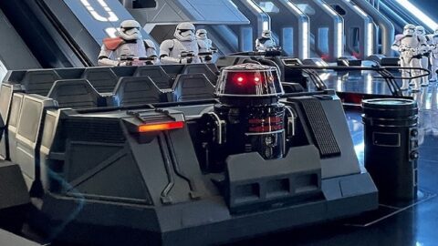Very long lines for Rise of the Resistance’s first day using a standby line