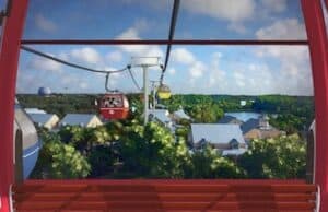 New Update on the Disney Transportation Mask Mandate