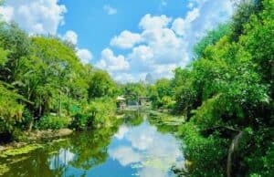 This Attraction has now Disappeared from Walt Disney World