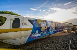 This Popular Form Of Transportation Has Been Closed Today