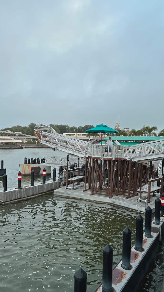 Magic Kingdom Transportation just Improved in an Amazing Way