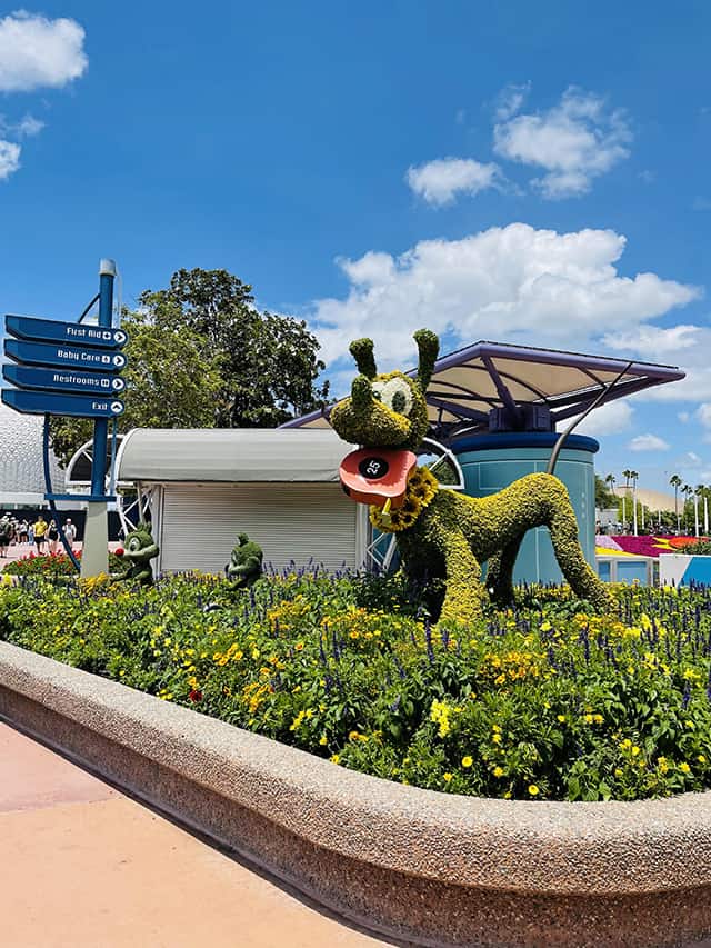 Check out the new merchandise coming to the Epcot Flower and Garden