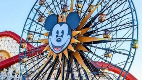 Disney Guests are Currently Trapped Inside Ferris Wheel Attraction