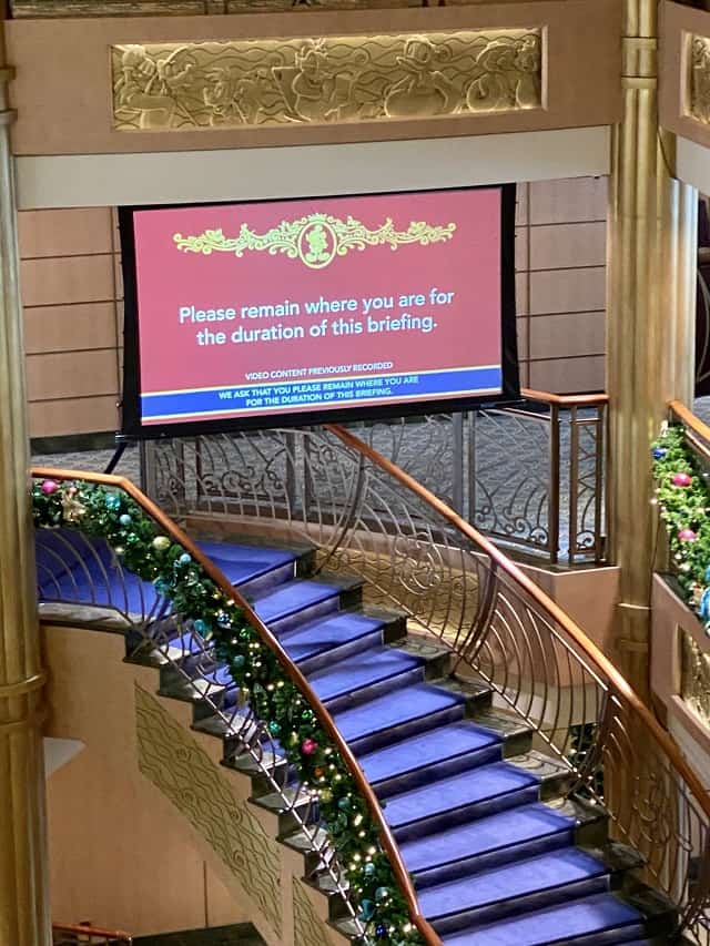 disney cruise line