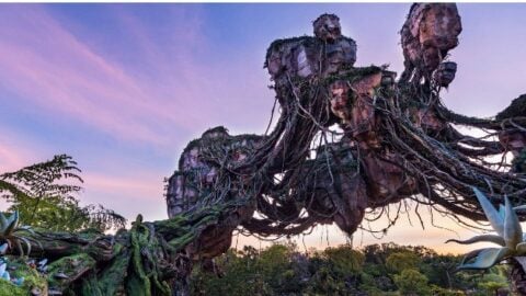 More attraction malfunctions for Animal Kingdom’s Pandora right now