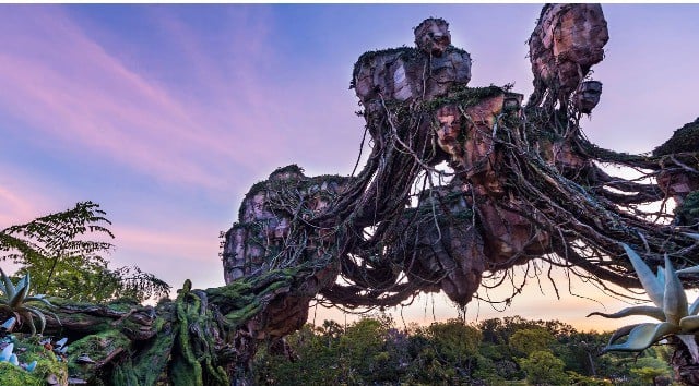 More attraction malfunctions for Animal Kingdom's Pandora right now