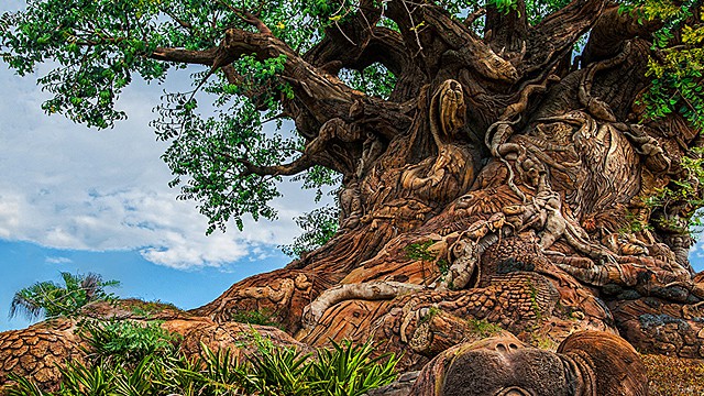 This fun character returns to Disney's Animal Kingdom very soon!