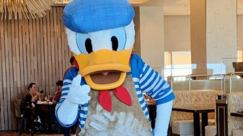 Would you eat this Donald Duck cake coming to Magic Kingdom?