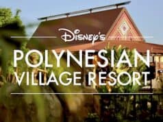 Recreation Activities at Disney's Polynesian Village Resort in January