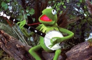 Kermit the Frog Reveals his Favorite Ride in Disney World