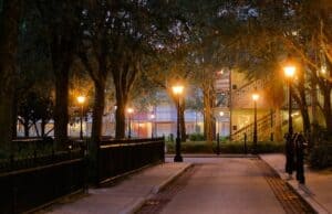 Live Shows Return to this Disney World resort!