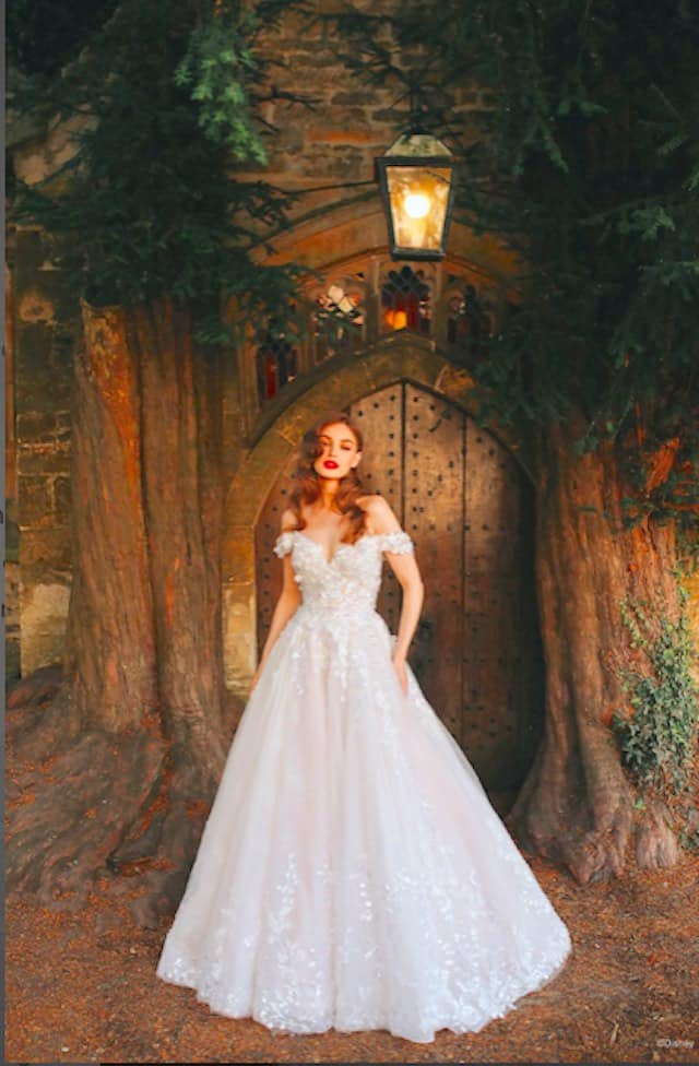 Check Out the NEW 2022 Disney Fairy Tale Weddings