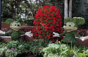 Garden Graze menu items now available for the Flower and Garden Festival