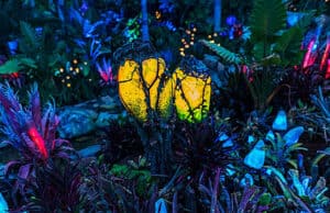 Disney World Announces New Theme Park Hours at Animal Kingdom
