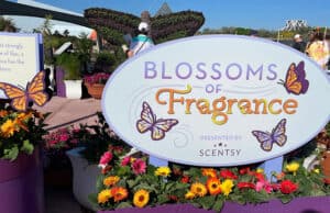 New Flower and Garden Festival Blossoms of Fragrance Area