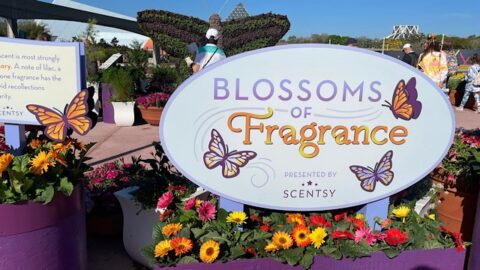 New Flower and Garden Festival Blossoms of Fragrance Area