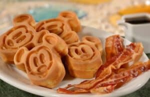 A dining plan is available at one hotel at Disney World