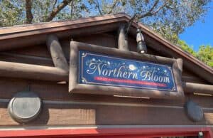 An Honest Review of the Food at Northern Bloom