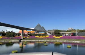 Best of the Fest: Top Flower & Garden Sweets