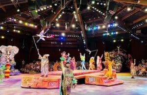 Big news for A Celebration of the Festival of the Lion King show!