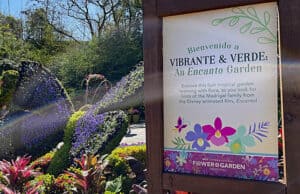 New "Encanto" Inspired Garden is Bursting with Vibrant Colors