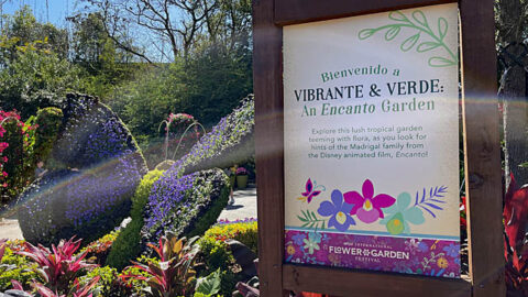 New “Encanto” Inspired Garden is Bursting with Vibrant Colors