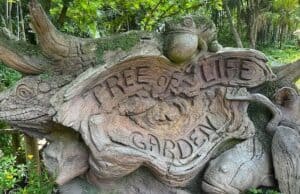 Discover this Hidden Gem in the Animal Kingdom