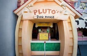 Going to the Dogs: Adorable and furry Cast Members at work in the Disney Parks