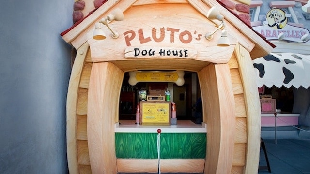 Going to the Dogs: Adorable and furry Cast Members at work in the Disney Parks