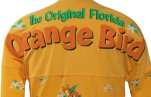 Disney's New Orange Bird Merchandise is Missing A Little Something