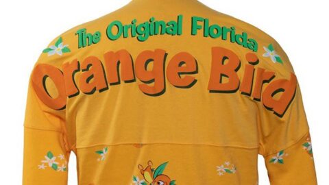 Disney’s New Orange Bird Merchandise is Missing A Little Something