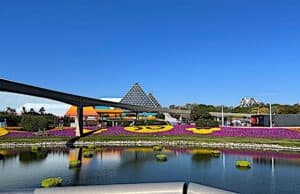 Flower and Garden Scavenger Hunt Returns with a Big Price Increase