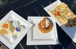 Review: All Things Honey at the Amazing Bee-Stro Flower and Garden Booth