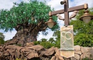 Special Celebration to take place at Disney World