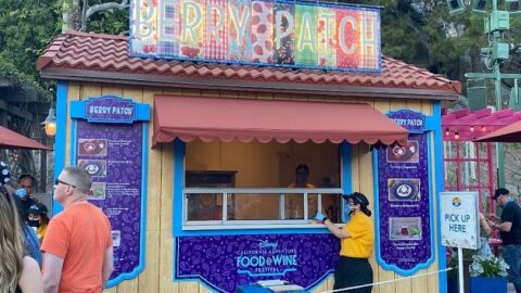 A Food Review of the Berry Patch Booth at Disney California Adventure