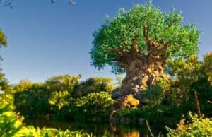 Will Mother Nature cooperate with Earth Day at Disney World?