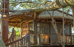 Check out this New Adventurous PhotoPass Location at Disney World