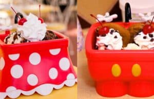 Disney World's Best Places to Go if you Love Ice Cream