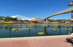 Do not skip Jardin de Fiestas at the Flower and Garden Festival!
