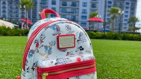 FIVE Park Bag Essentials When Traveling With Little Ones