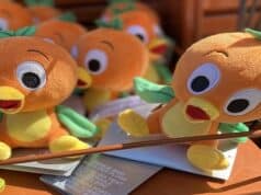 History of Magic Kingdom's Cute Little Mascot: Orange Bird