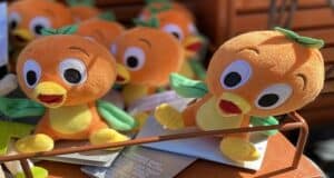 History of Magic Kingdom's Cute Little Mascot: Orange Bird