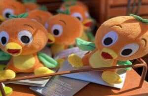 History of Magic Kingdom's Cute Little Mascot: Orange Bird