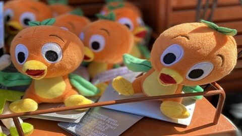 History of Magic Kingdom’s Cute Little Mascot: Orange Bird